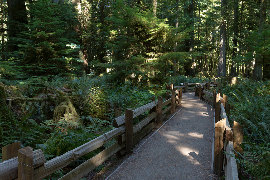 09-18 - 03.jpg - McMillan Provincial Park, Vancouver Island, BC